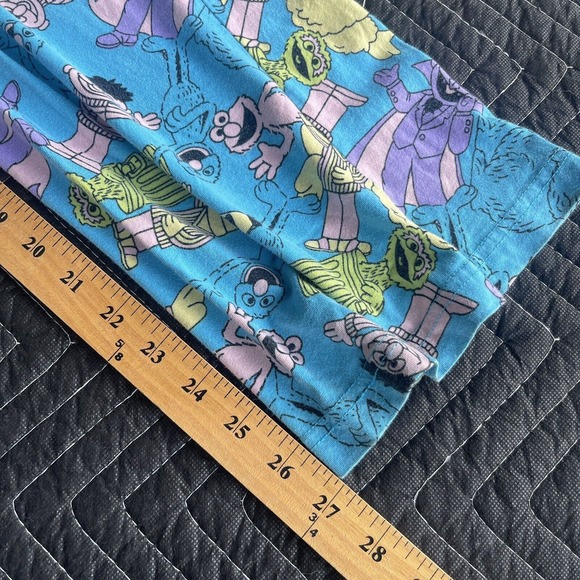 Sesame Street Pants Mens Small Blue Pull On Drawstring Sleep Lounge Big Bird - Picture 9 of 9